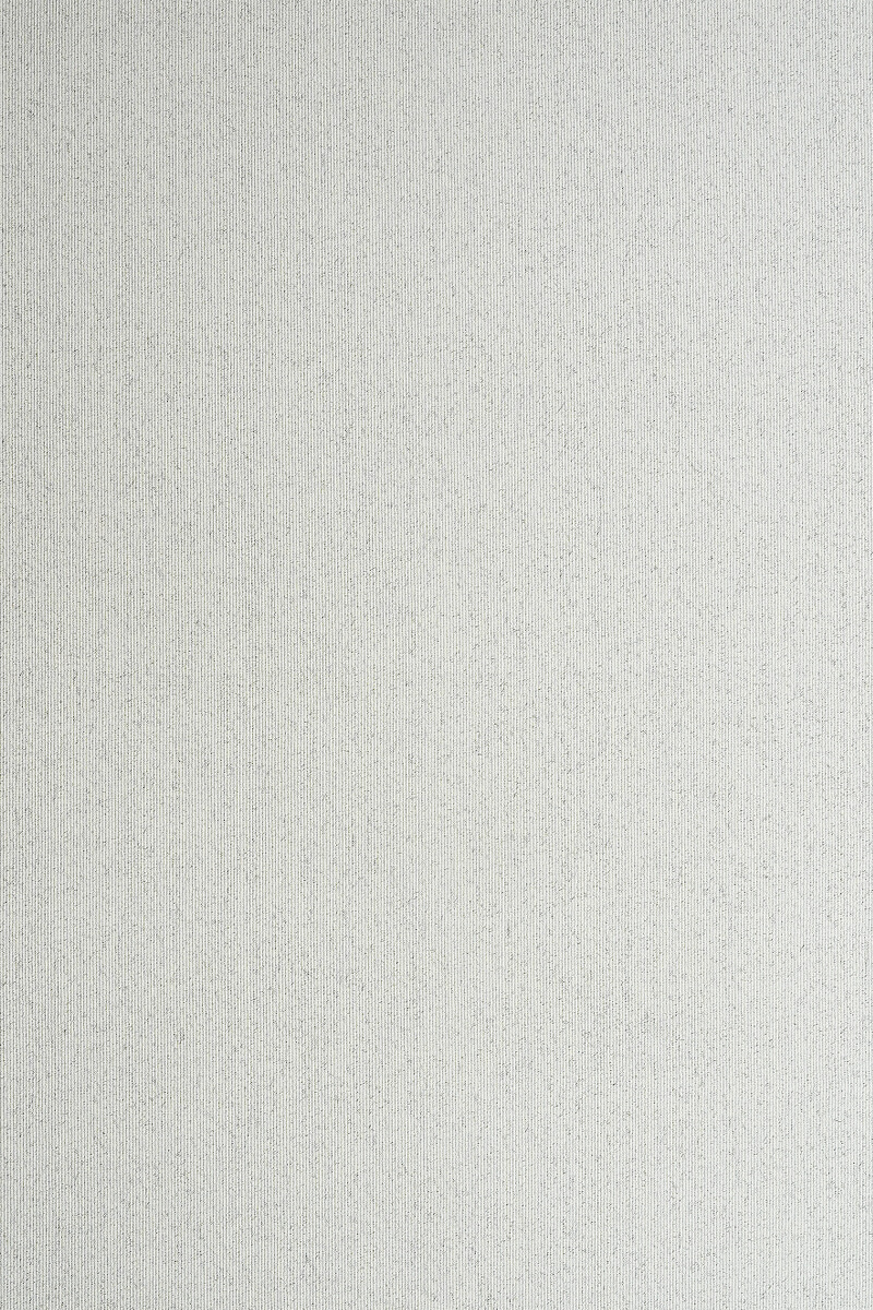 百丽