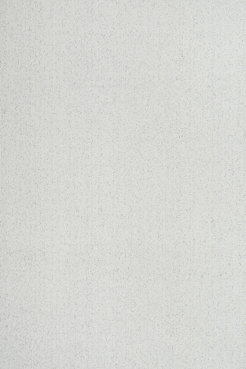 百丽